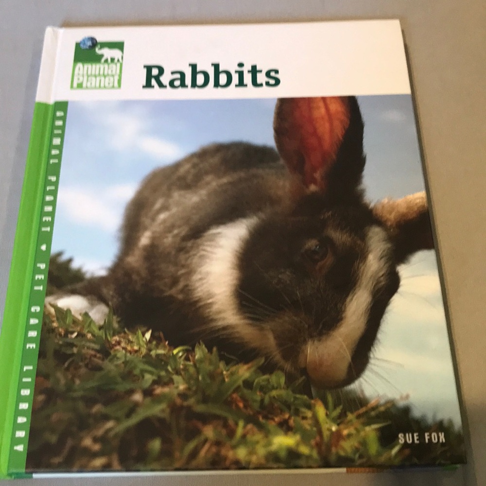 Animal Planet- Rabbits-  book